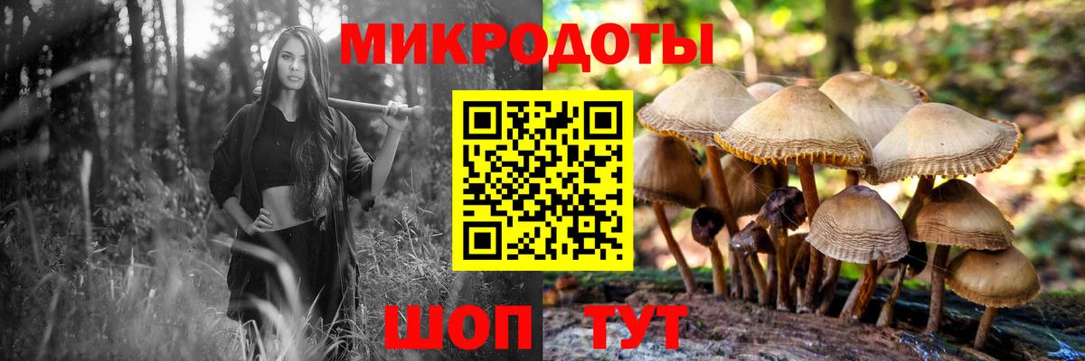 Псилоцибиновые грибы GOLDEN TEACHER  Вход с VPN  Солнечногорск 
