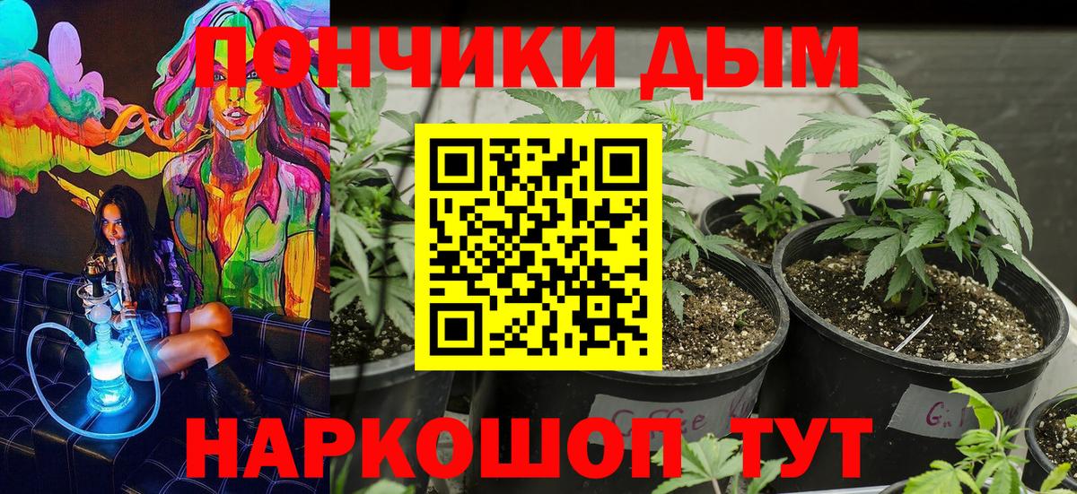Солнечногорск  Канабис Amnesia  Вход с VPN  Конопля семена 